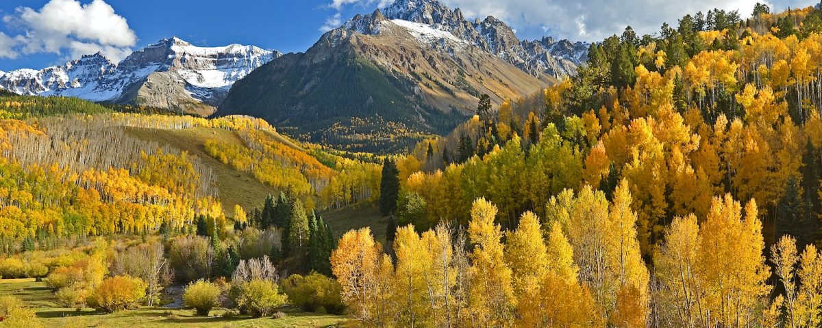 green and beige trees beside mountains